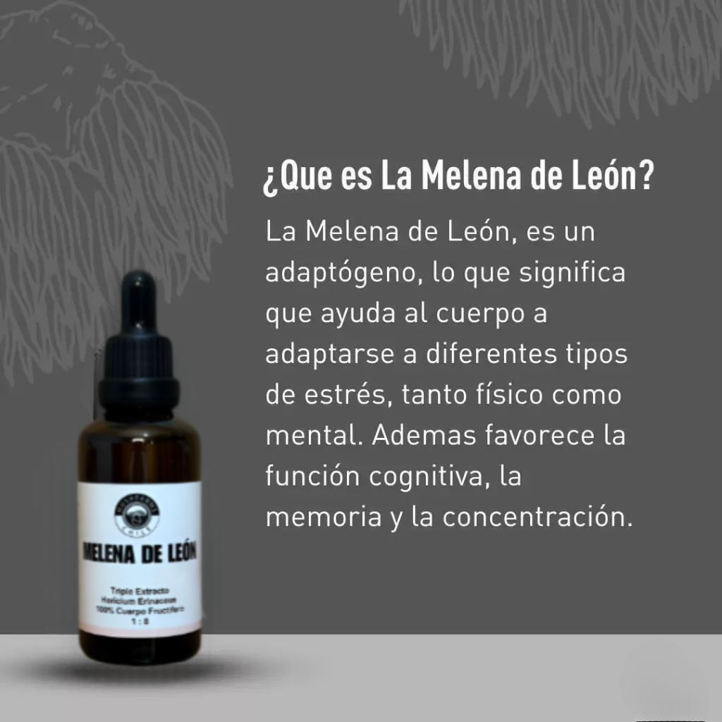 Melena de leon gotero 30 ml
