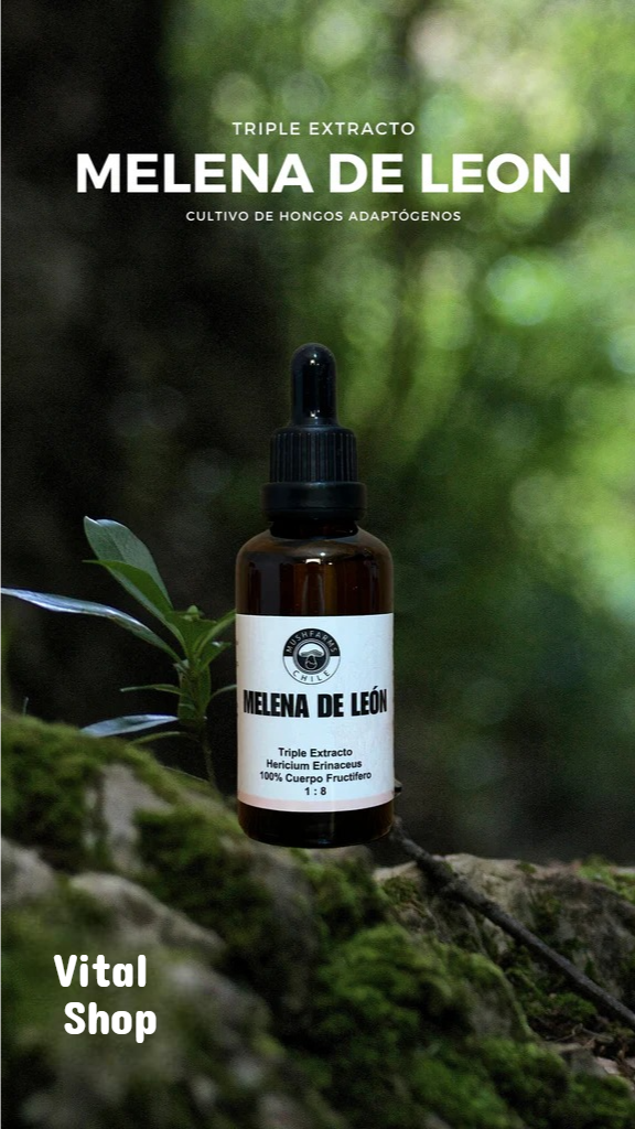 Melena de leon gotero 30 ml